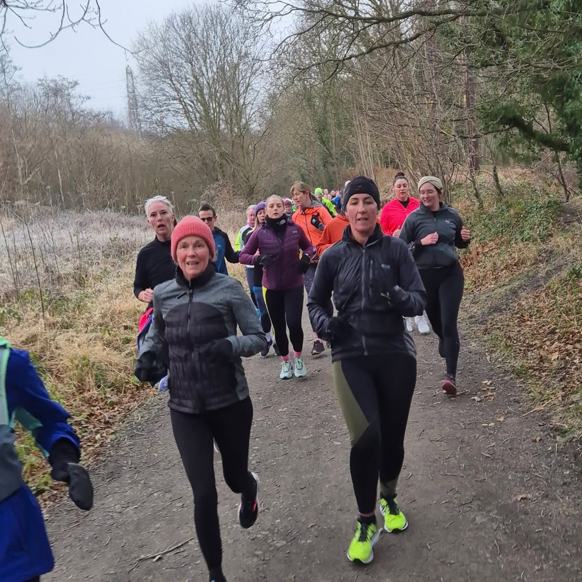 WILD DEER RUNNING SESSION - DERWENT WALK COUNTRY PARK